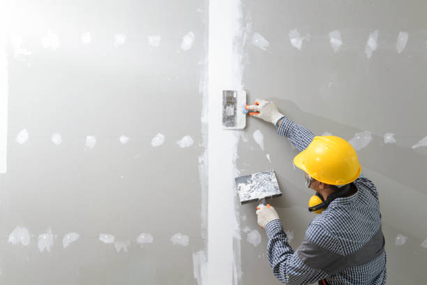 Professional Drywall & Painting Services in Sherman, IL